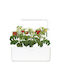 Click and Grow Blumenkasten Beleuchtet 32x21cm White SGS1UNI