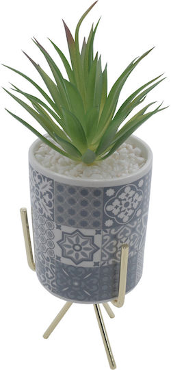 Alocasia In Topfpflanze Grau 25cm Uncle George