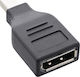 InLine Μετατροπέας DisplayPort / mini DisplayPort male σε DisplayPort / mini DisplayPort female 1τμχ (17196B)