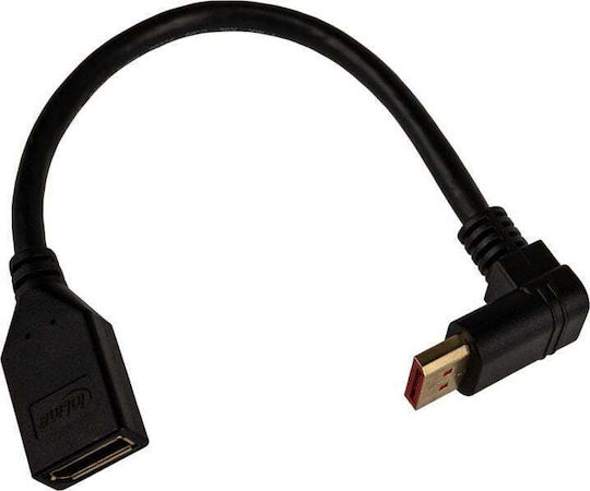 InLine Converter DisplayPort male to DisplayPort female 1pcs 17159O