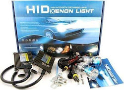 Xenon Beleuchtungsset H4 Can Bus 55W 12V 4300K Naturweiß