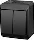Elektro Plast Waterproof Wall-mounted Double Wall Switch with Frame Black