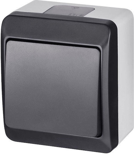 Elektro Plast Waterproof Wall Switch Lighting One-Way with Frame Gray