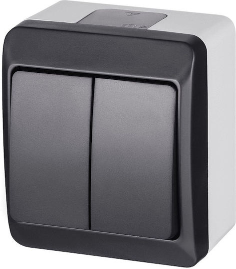 Elektro Plast Waterproof Wall Switch Lighting Two-Way with Frame Gray
