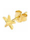 Radiant Earrings Gold Plated