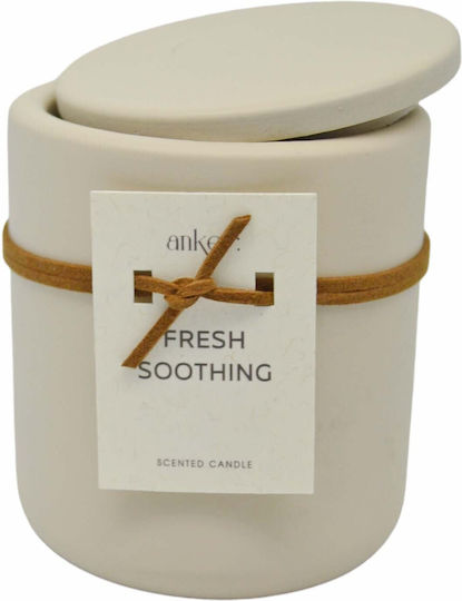 Ankor Αρωματικό σε Βάζο Fresh Soothing