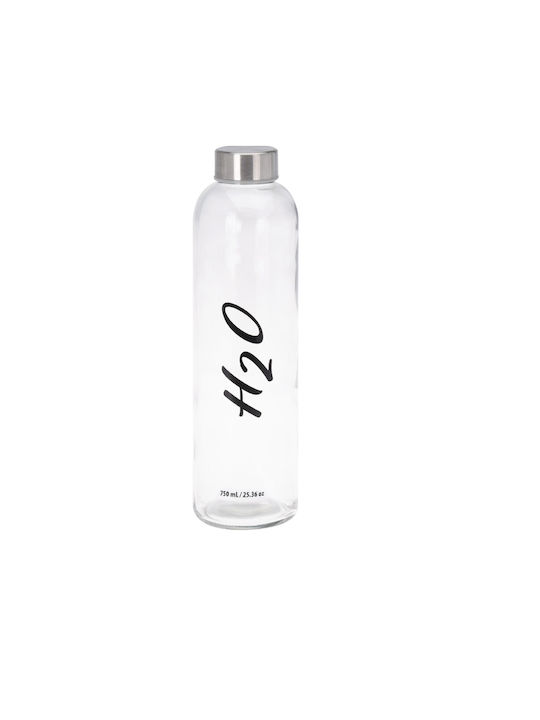 Excellent Houseware Bottle Water Glass with Screw Cap Gray 750ml
