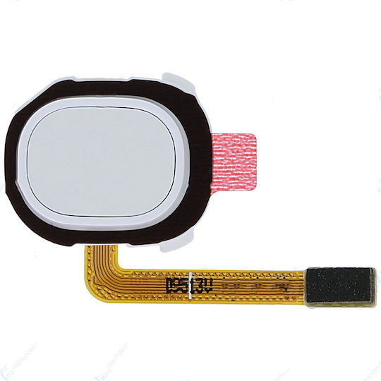 Samsung Flex Cable with Fingerprint in White color for Galaxy A20e