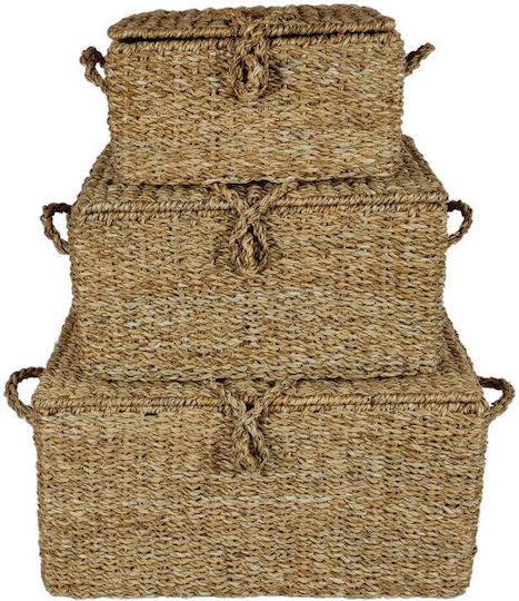 InTheBox Σετ Διακοσμητικά Κουτιά 50x34x25cm 3τμχ