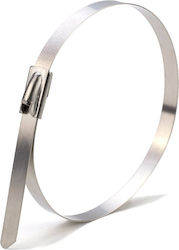 E-Sea Δεματικό Καλωδίων Πλαστικό 250mmx4.6mm σε Ασημί χρώμα (1τμχ) (25862)