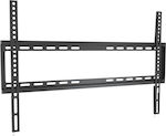 Arli ΒΑΣ.GER.37-70 Wandhalterung für Fernseher