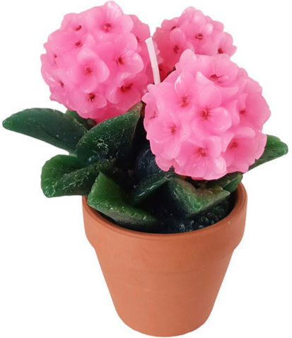Etoile Dekorative Kerze Pflanze Rosa 10x13cm