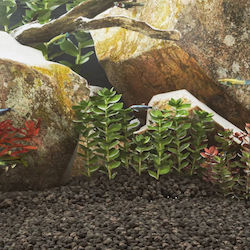 vidaXL Aquarium Soils / Substrates 10kg