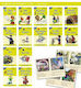 Phonic Books Dandelion Readers Vowel Spellings Level 1 One Vowel Team For 12 Different Vowel Sounds Ai Ee Oa Ur Ea Ow B‘oo’t Igh L‘oo’k Aw Oi Ar Decodable Books For Beginner Readers One Vowel Team For 12 Different Vowel Sounds Ai Ee Oa Ur Ea Ow B‘oo’t Igh L‘oo’k Aw Oi Ar Pho