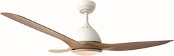 Aca 130cm With Light Brown / White FANKVN30G
