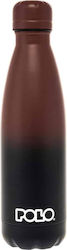 Polo Bottle Thermos Stainless Steel BPA Free 50...