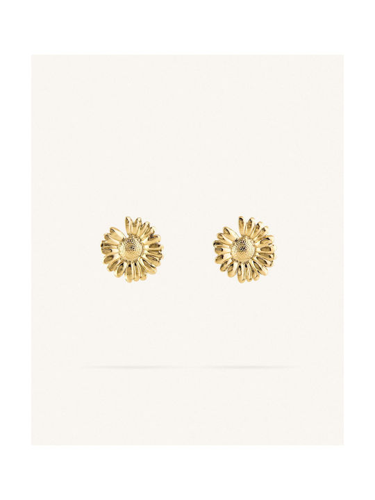 StanStefan Earrings made of Steel Gold Plated