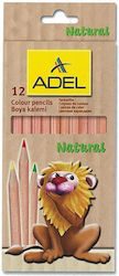 Next Colored Pencil Set