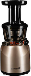 Hausberg Αποχυμωτής 150W Χρυσός HB7519G Hausberg Αποχυμωτής 150W Χρυσός HB7519G