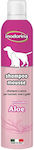 Inodorina Cat Shampoo