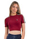 Ellesse Women's Athletic Crop T-shirt Burgundy