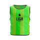 Liga Sport Mesh Training Bib in Πράσινο Color