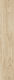 Kai Group Floor / Interior Wall Tile from Granite Matte 120.4x20.4cm Beige