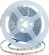 Optonica LED Лента 12V Студено бяло Светлина 5м Тип SMD2835