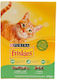 Friskies Ξηρά Τροφή Γάτας με Κουνέλι 0.4kg