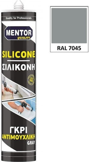 Mentor Allgemeiner Gebrauch Silikon-Dichtungsmittel Schimmelresistent Gray 280ml 1Stück