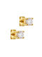 Earrings made of Gold 14K