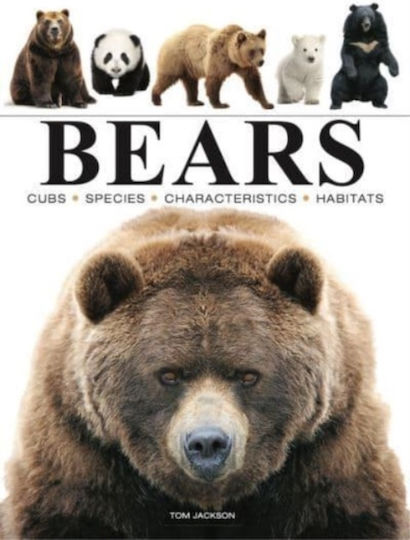 Bears