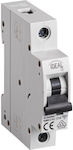 Ideal Automatic Circuit Breaker 10A Single-pole 23145