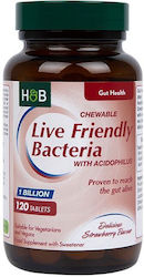Holland & Barrett Live Friendly Bacteria 1 Billion 120 Таблетки Ягода Holland & Barrett Live Friendly Bacteria 1 Billion 120 Таблетки Ягода