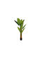 Plant Bananas X3 13 leaves Black Plastic Pot 15x17x160cm Iliadis