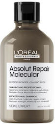 L'Oréal Professionnel Serie Expert Absolut Repa...