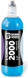 Born Winner L-carnitine 2000 Born Winner L-carnitine 2000