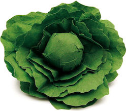 Erzi Wooden Lettuce