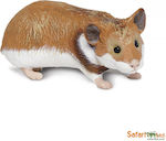 Zwerghamster Hamster Safari Hamster