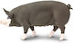 Miniature Safari Berkshire Pig Berkshire Pig miniatures