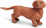 Miniaturi Safari Dachshund Dachshund Câine Dakshund