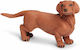 Miniatures Safari Dachshund Dachshund Dog Dakshund