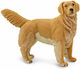 Μινιατούρες Safari Golden Retriever Σκύλος Ράτσας Golden Retriever