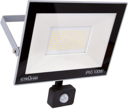 Struhm LED Прожектор 100W Неутрално Бяло 4200K С Motion Sensor