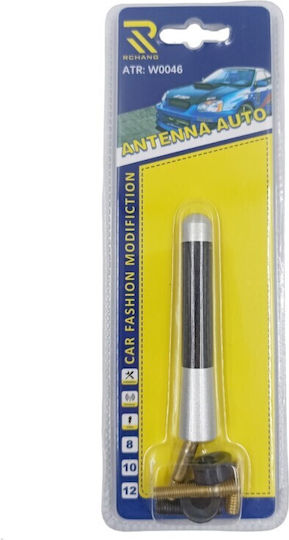 Car Antenna Roof for Radio in Black Carbon Color