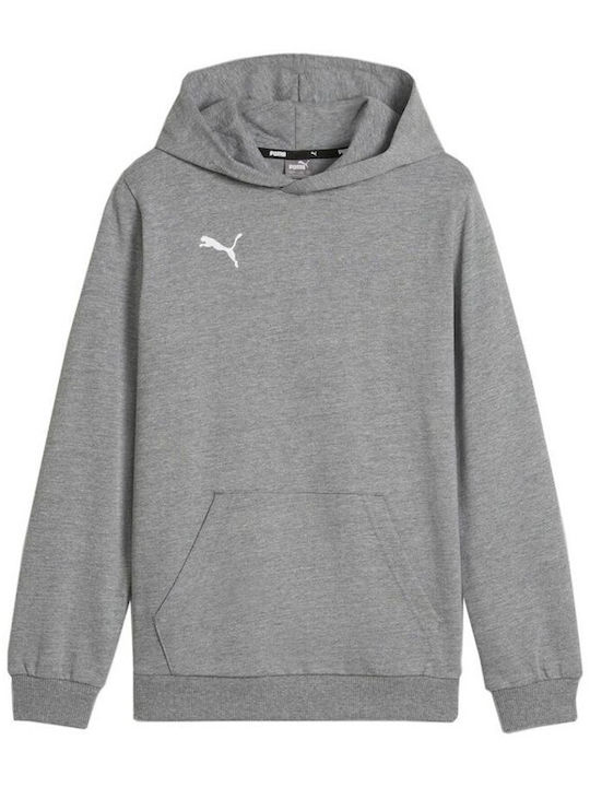 Puma Kids Sweatshirt with Hood Gray