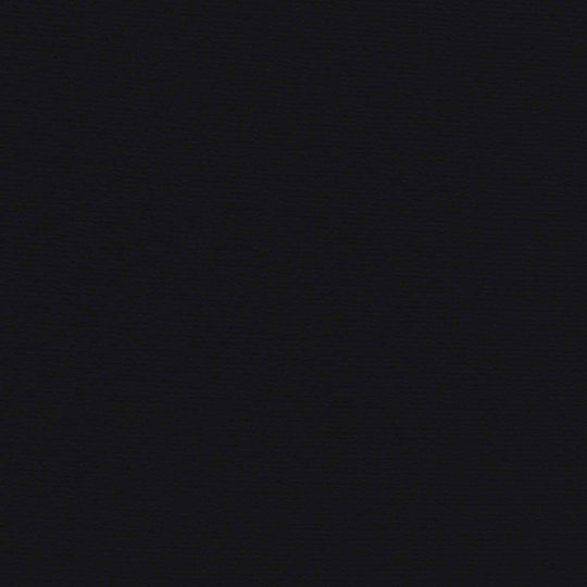 Килим Roxane 98 с подложка Action Back 8мм Черен 400x