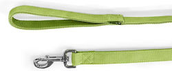 Glee Dog Leash/Lead Strap in Green color