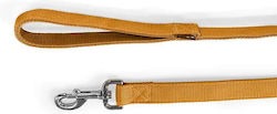 Glee Dog Leash/Lead Strap in Yellow color