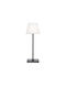 Aca Luminaire Outdoor Floor Lamp LED 2W IP54 Gray